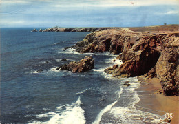 56-QUIBERON-N°2799-C/0185 - Quiberon