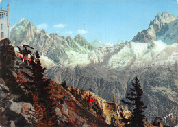 74-CHAMONIX-N°2799-B/0243 - Chamonix-Mont-Blanc