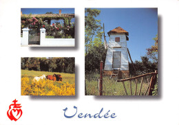 85-VENDEE-N°2799-B/0129 - Other & Unclassified