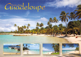 971-GUADELOUPE LES PLAGES DE SAINTE ANNE-N°2800-B/0303 - Sonstige & Ohne Zuordnung