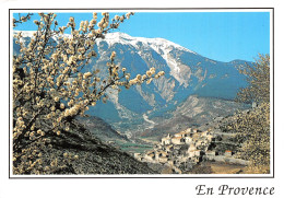 84-VENTOUX-N°2800-B/0015 - Autres & Non Classés