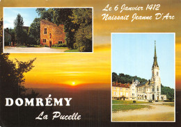 88-DOMREMY LA PUCELLE-N°2800-A/0317 - Domremy La Pucelle