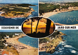 85-JARD SUR MER-N°2800-A/0213 - Other & Unclassified