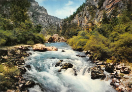 48-LES GORGES DU TARN LE PAS DU SOUCI-N°2800-A/0067 - Autres & Non Classés