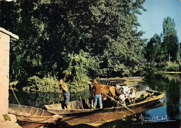 79-MARAIS POITEVIN-N°2799-D/0395 - Autres & Non Classés