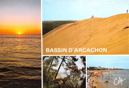 33-BASSIN D ARCACHON-N°2799-D/0295 - Autres & Non Classés