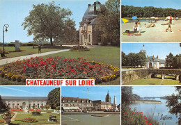 45-CHATEAUNEUF SUR LOIRE-N°2800-D/0247 - Other & Unclassified