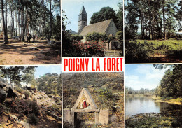 78-POIGNY LA FORET-N°2800-D/0081 - Altri & Non Classificati