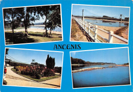 44-ANCENIS-N°2800-C/0225 - Ancenis