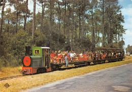 17-ILE D OLERON -N°2800-C/0189 - Ile D'Oléron