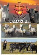 13-CAMARGUE-N°2801-C/0047 - Other & Unclassified