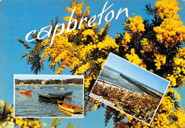 40-CAPBRETON-N°2802-D/0029 - Capbreton