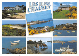 50-LES ILES CHAUSEY-N°2802-B/0335 - Other & Unclassified