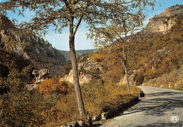 48-GORGES DU TARN-N°2803-B/0053 - Gorges Du Tarn