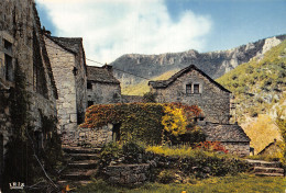 48-GORGES DU TARN-N°2803-B/0051 - Gorges Du Tarn