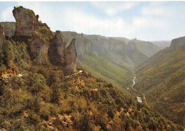 48-GORGES DU TARN-N°2803-B/0039 - Gorges Du Tarn