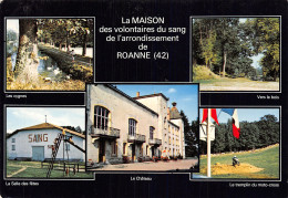 42-ROANNE-N°2803-D/0375 - Roanne