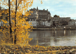 37-AMBOISE-N°2803-D/0357 - Amboise