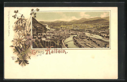 Lithographie Hallein, Totalansicht Aus Der Vogelschau  - Autres & Non Classés