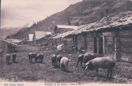 Scènes Paysannes, Cochons Et Chalets, Fidèles à La Terre. Publicité LACTAS GLAND (P 4) - Viehzucht