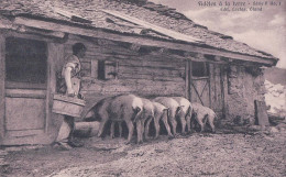 Scènes Paysannes, Cochons Et Chalets, Fidèles à La Terre. Publicité LACTAS GLAND (P 1) - Breeding