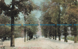 R674132 Southampton. The Avenue. 1904 - World
