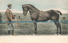 R674690 Man With Horse. Postcard. 1972 - World