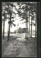 AK Velichovky, Kirche Vom Wald Aus  - Tchéquie