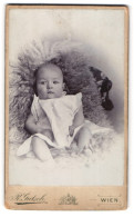 Fotografie R. Gutsch, Wien-Wieden, Favoritenstr. 29-31, Portrait Niedliches Baby Im Weissen Kleidchen Auf Fell Liegend  - Anonymous Persons