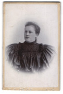 Fotografie C. Hrabek, Pilsen, Portrait Einer Elegant Gekleideten Frau In Prachtvoller Bluse  - Personnes Anonymes
