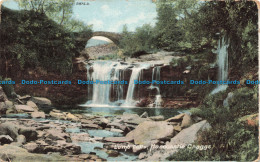R674809 Hardcastle Craggs. Lumb Falls. Hartmann. 1905 - Wereld