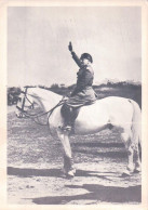 Mussolini à Cheval (156) 10x15 - Historische Figuren