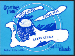 Cayman Islands 1993 Tourism Booklet Unmounted Mint. - Cayman (Isole)