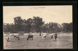 CPA St-Galmier, Paysage  - Autres & Non Classés