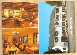 CARTE POSTALE LAUSDORN - LUXEMBOURG - CAFE AUBERGE - Other & Unclassified