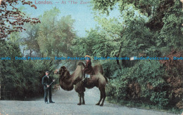 R674841 London. At The Zoo. E. F. A. Series 521. 1905 - Monde