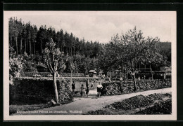 AK Polenz / Neustadt, Badegäste Im Waldbad  - Autres & Non Classés