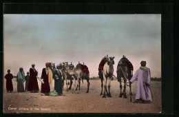 AK Camel Drivers In The Desert  - Autres & Non Classés