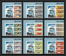 246a - Umm Al Qiwain MNH ** Mi N° 180 / 188 B Poissons (Fish Poisson Fishes) Non Dentelé (Imperf) Bloc Label - Fishes