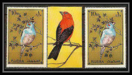 302e - Fujeira MNH ** Mi N° 857 Oiseaux (bird Exotic Birds Oiseau)  - Konvolute & Serien