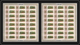 382q - Fujeira MNH ** Mi N° 383 A/B Non Dentelé (Imperf) Fleurs (blumen - Flowers) Feuilles (sheets) - Andere & Zonder Classificatie