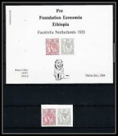 339a - Ethiopie MNH ** Bloc Pro Foundation Economia Ethiopia Bloc Netherland / Lion 1923 / 1984 - Ethiopia