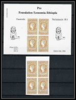 338a - Ethiopie MNH ** Bloc Pro Foundation Economia Ethiopia Bloc Netherland / Lion 1913 /1983 - Ethiopië