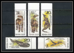 331a Urss/russie Yvert ** MNH N° 5780 / 5784 Dinosaure (dinosaurs Prehistoire (Prehistorics) - Ongebruikt