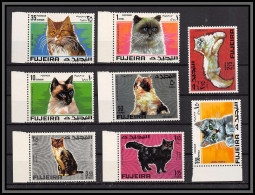 328a - Fujeira MNH ** Mi N° 206 / 213 A Complet Chat (cat Cats Chats)  - Fudschaira