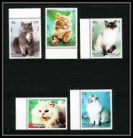 652a Sharjah - MNH ** Mi N° 1030/1034 A Chats (chat Cat Cats)  - Hauskatzen
