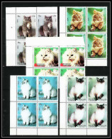 652b Sharjah - MNH ** Mi N° 1030/1034 A Chats (chat Cat Cats) Bloc 4 - Gatos Domésticos