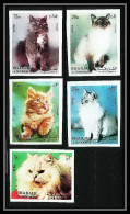 651 Sharjah - MNH ** Mi N° 1030/1034 B Chats (chat Cat Cats) Non Dentelé (Imperf) - Gatos Domésticos
