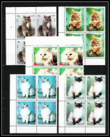 652b Sharjah - MNH ** Mi N° 1030/1034 A Chats (chat Cat Cats) Bloc 4  - Schardscha