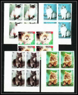 651c Sharjah - MNH ** Mi N° 1030/1034 B Chats (chat Cat Cats) Non Dentelé (Imperf) Bloc 4 - Sharjah